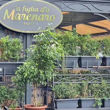 Casa Comoda E In Quartiere Storico Di Tatil Evi Napoli