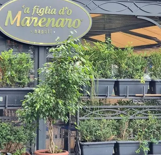 Casa Comoda E In Quartiere Storico Di بيت للعطل نابولي